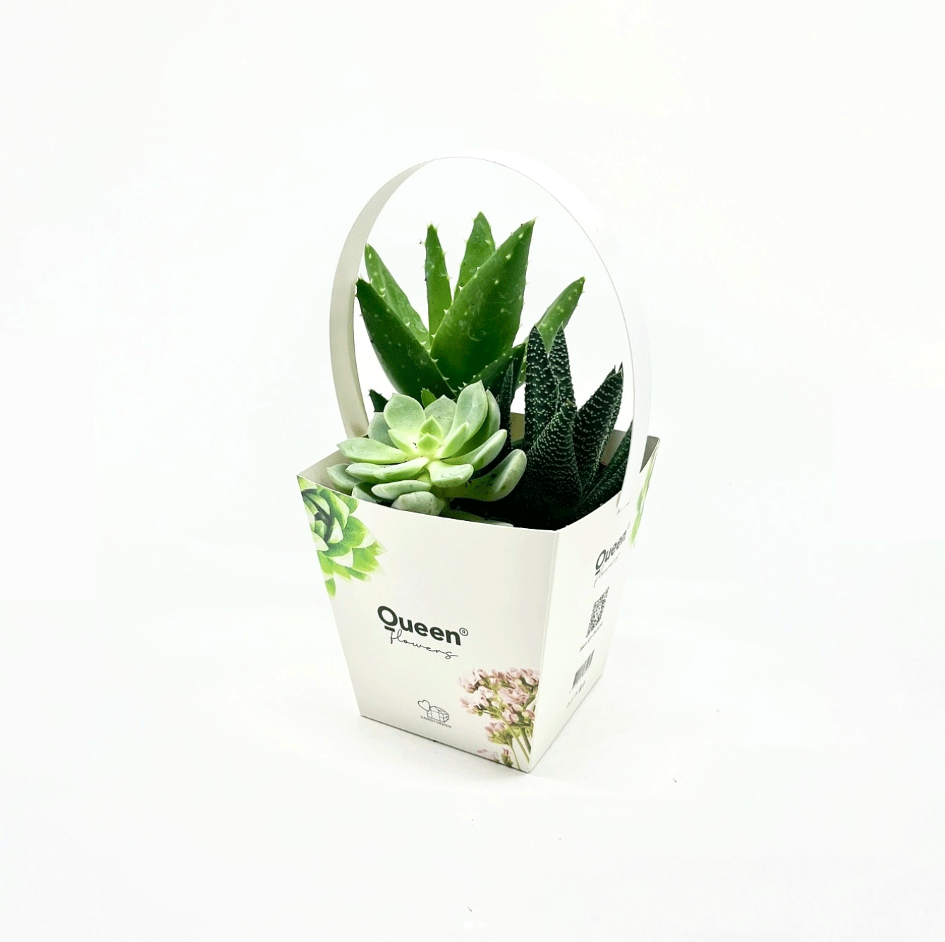 Queen Flowers Shelf-Ready Packaging Portfolio Project